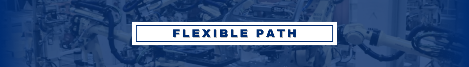 Flexible Path